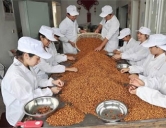 四害消殺：食品、加工行業(yè)